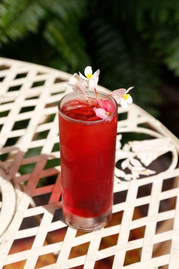 Life House, Little Havana Miami Ngoại thất bức ảnh