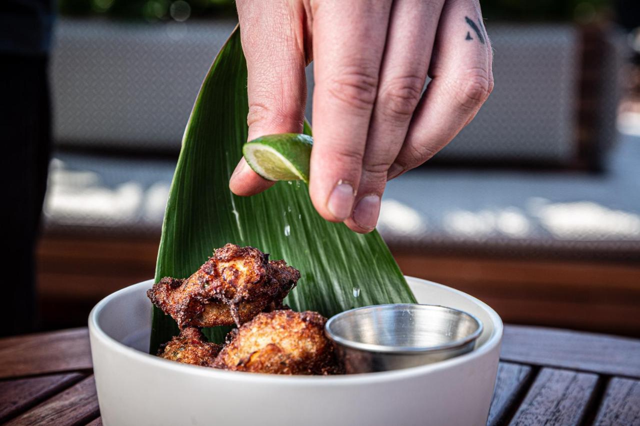Life House, Little Havana Miami Ngoại thất bức ảnh